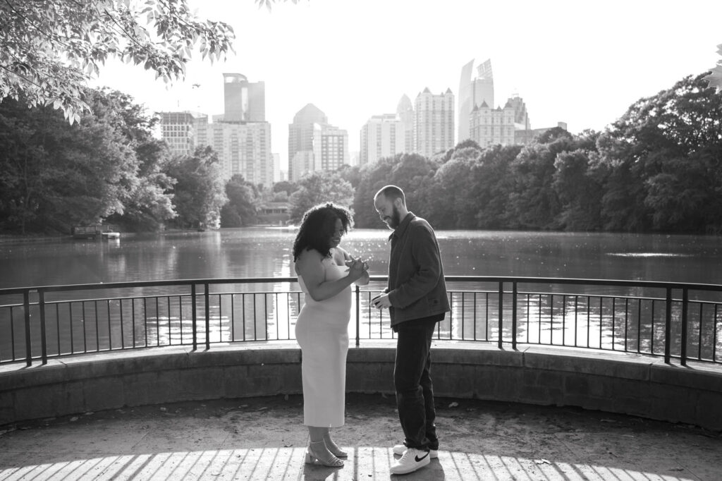 Piedmont Park Proposal