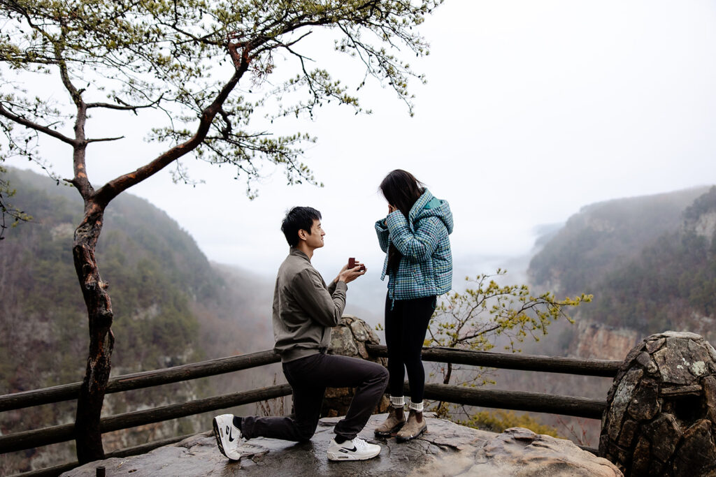 Georgia proposal at Cloudland Canyon